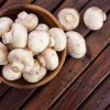 اموزش پرورش قارچ به صورت تخصصی