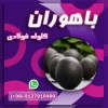 گلوله فولادی - گلوله فولادی اصفهان - گلوله بالمیل