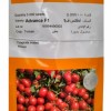 بذر گوجه ادونس ( بذر گوجه فرنگی Advance )