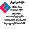 خدمات ومشاوره بیمه ای وآموزش کامپیوتر و حسابداری