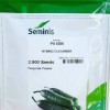بذر خیار پی ایکس 8306