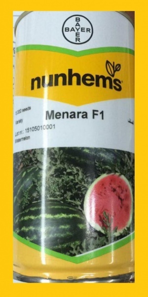 بذر هندوانه منارا