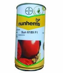 عرضه بذر گوجه 6189 سانسید