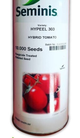 بذر گوجه های پیل (303)