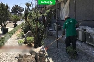 محوطه سازی کارخانه و کمپ مهندسی