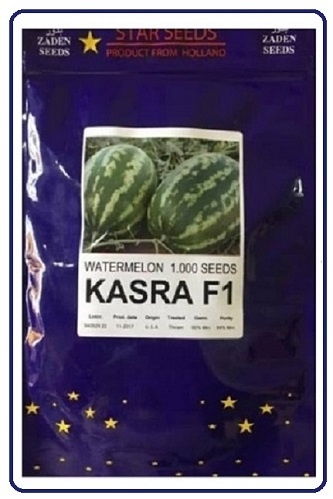 بذر هندوانه کسری