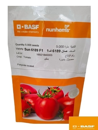 بذر گوجه فرنگی ادونس