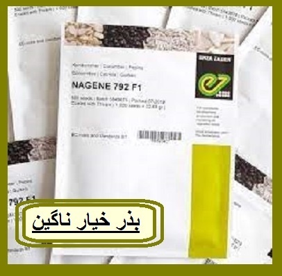 بذر خیار گلخانه ای ناگین