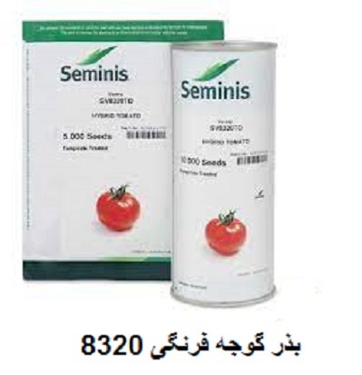 فروش بذر گوجه  8320 سیمنس