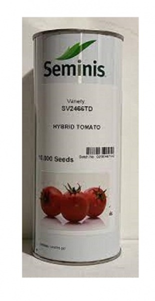 فروش بذر گوجه 2466 sv سیمینیس