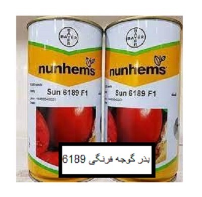 قیمت بذر گوجه فرنگی 6189 سانسید