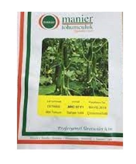 عرضه بذر خیار گلخانه ای ام ار سی 07