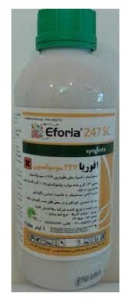 فروش سم حشره کش ایفوریا