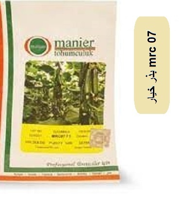 قیمت بذر خیار گلخانه ای MRC 07