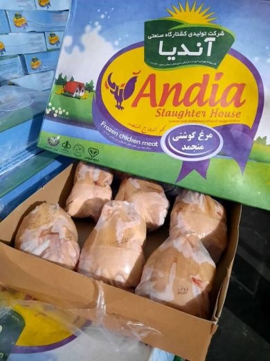 پخش قطعه بندی مرغ منجمد ماهر