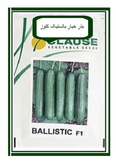 قیمت بذر خیار گلخانه ای بالستیک کلوز