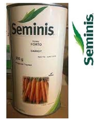 فروش بذر هویج فورتو ( بذر کمپانی سمینیس )