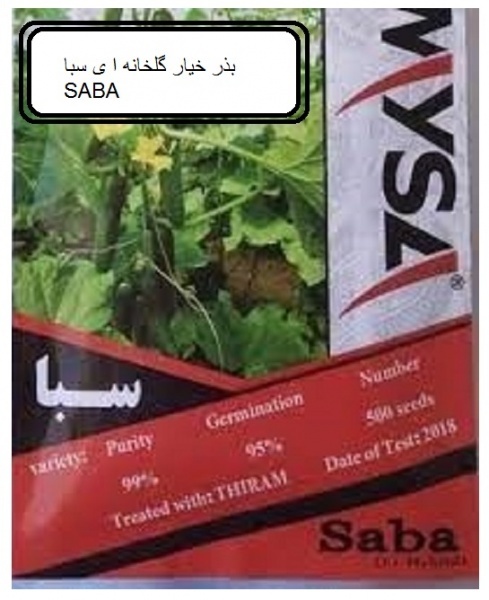 بذر خیار گلخانه ای سبا