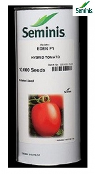 فروش بذر گوجه فرنگی ایدن