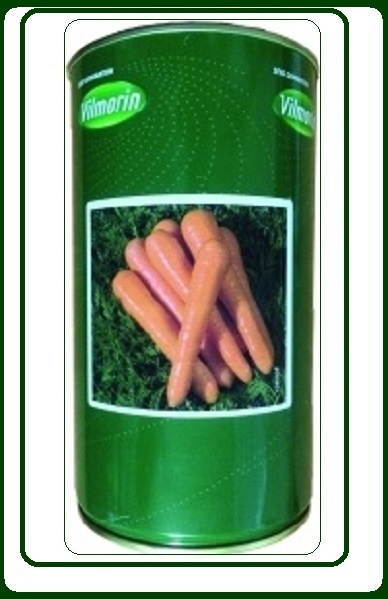 بذر هویج سیرانو
