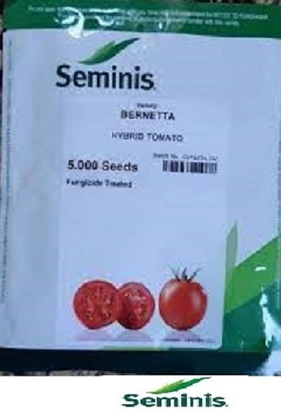 فروش بذر گوجه برنتا سمینیس