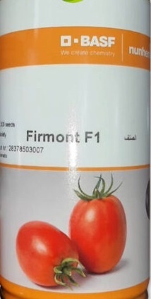 بذر گوجه فرنگی فرمونت