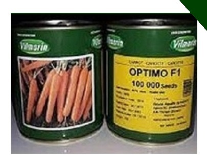 قیمت بذر هویج اپتیمو