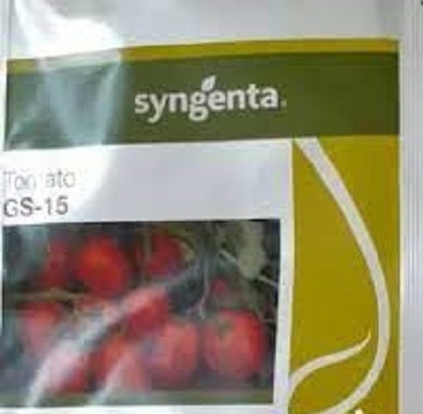 بذر گوجه GS 15