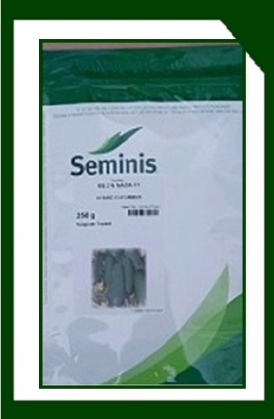 بذر خیار 2N  سمینیس