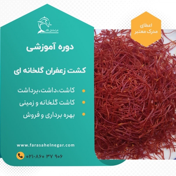 دوره آموزشی کشت گلخانه ای زعفران