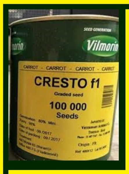 بذر هویج کریستو محصول شرکت ویلمورین فرانسه