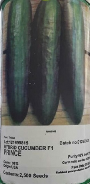 بذر خیار پرنس