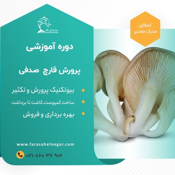 آموزش دوره پرورش قارچ صدفی