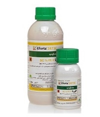 فروش سم افوریا