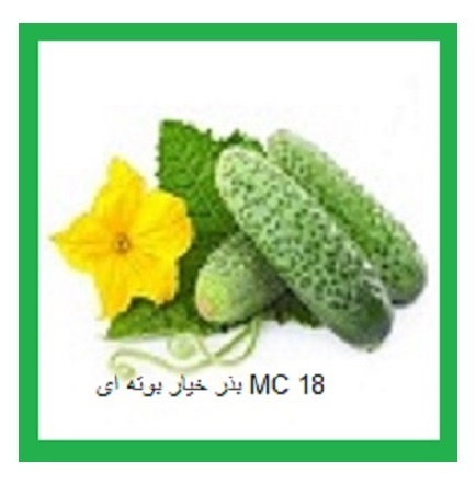 بذر خیار mc18
