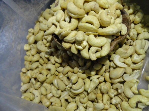 بادام هندی