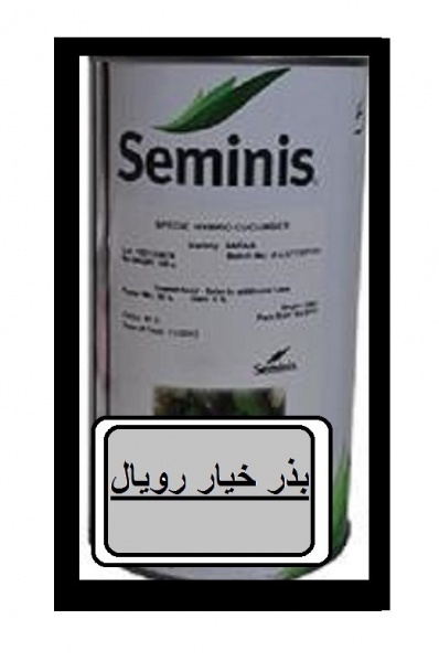 بذر خیار رویال سمینیس
