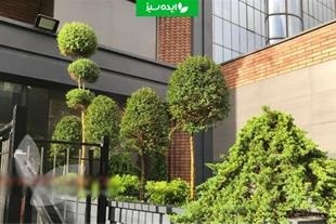 طراحی و اجرای فضای سبز اداری