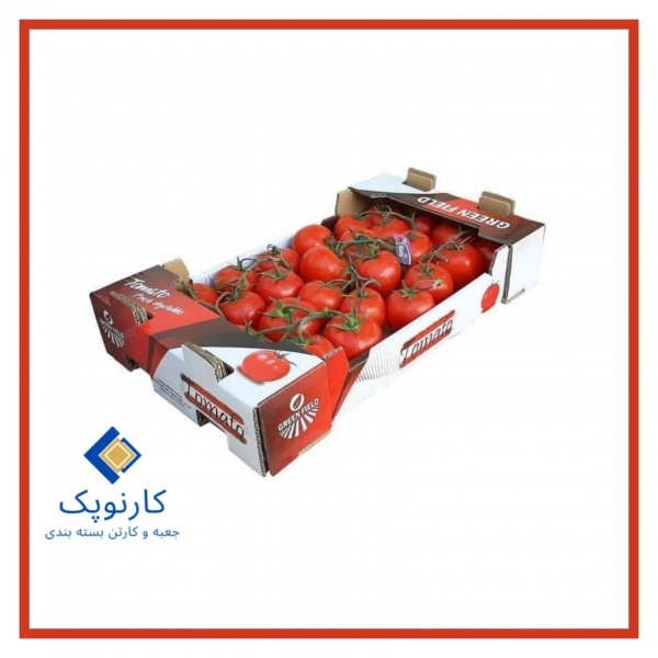 تولید انواع کارتن میوه صادراتی کارتن سازی کارنوپک