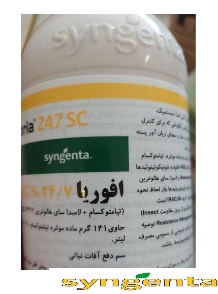 حشره کش افوریا سینجنتا