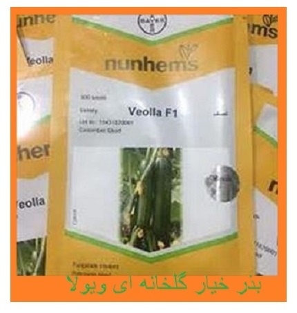 فروش بذر خیار ویولا