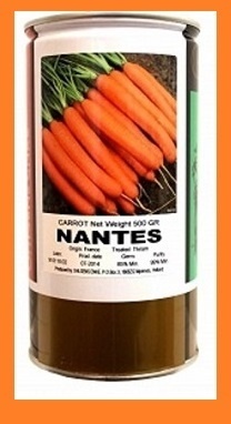 فروش بذر هویج نانتس 2000